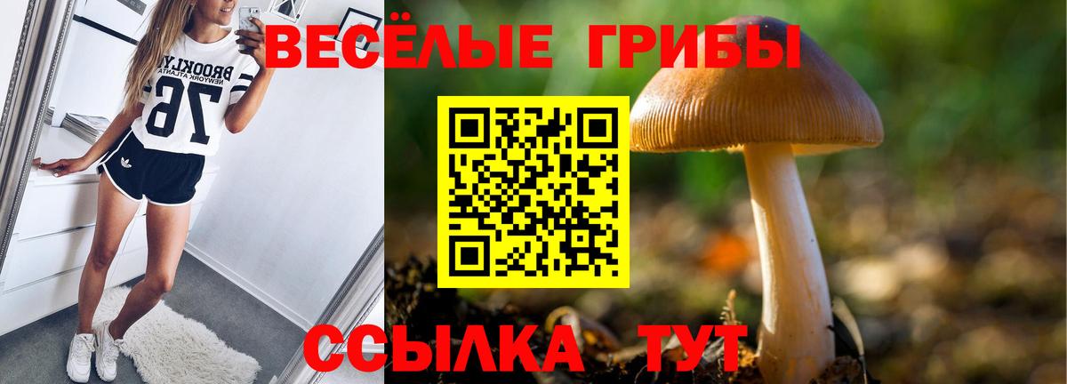 Галлюциногенные грибы MAGIC MUSHROOMS  Вход с VPN  Галлюциногенные грибы Psilocybe  Наро-Фоминск 